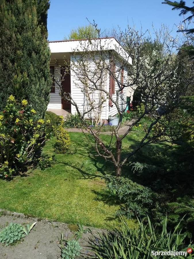 działka ROD Pigwa łódzkie Łódź