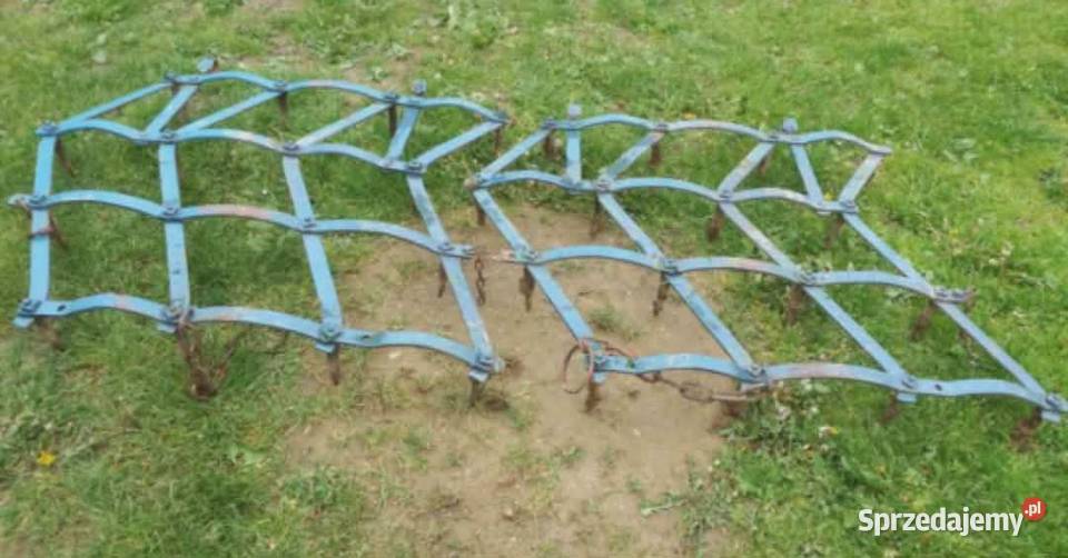 brony 3 pola Lubenia