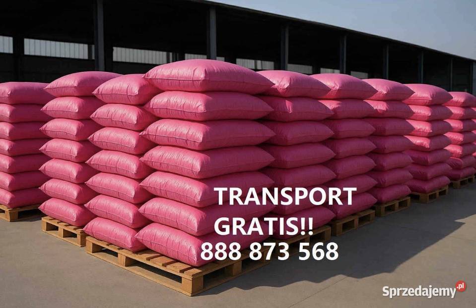 Ekogroszek WORKOWANY PREMIUM POLSKI groszek Dom i Ogród