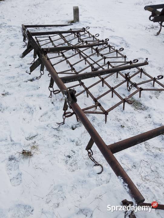 Brony 5 polowe Grudziądz Miedźno