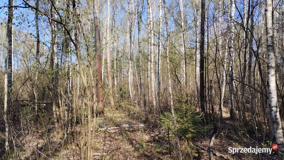 działka budowlana w Andrzejówce 4200m2 z