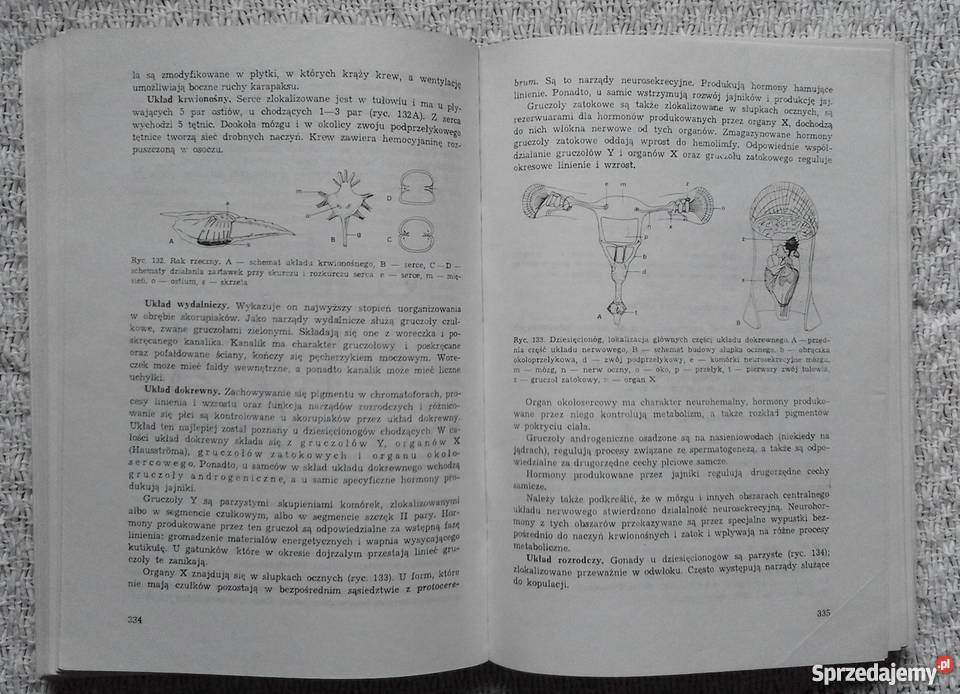 Bezkręgowce Czesław Jura Białystok
