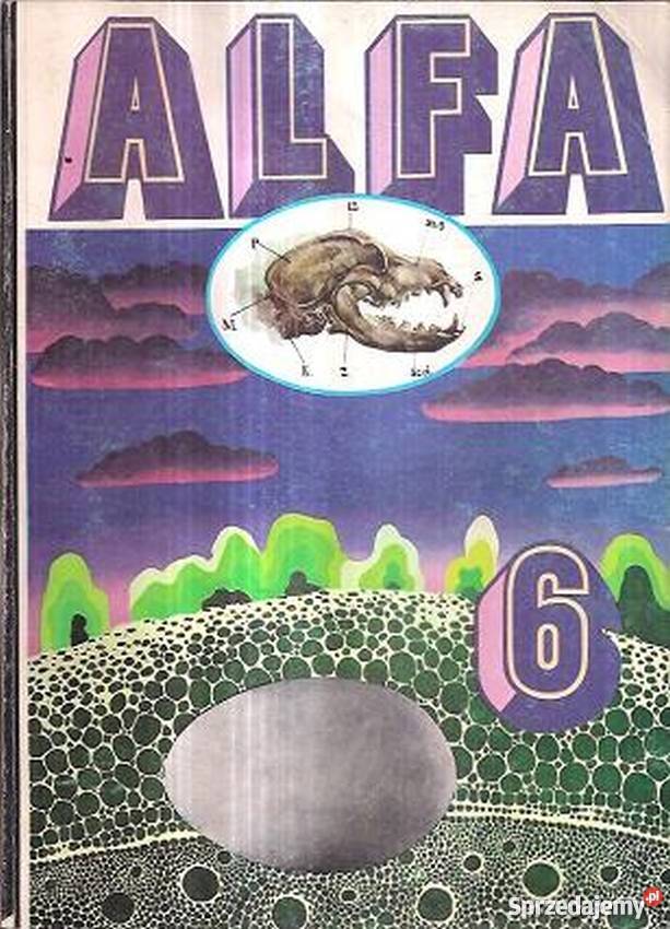 ALFA 6 1981