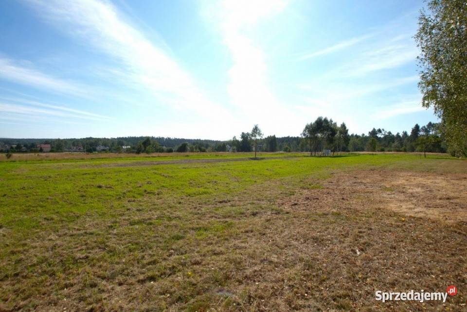 Grunt na sprzedaż Daleszyce 1251m2 24m