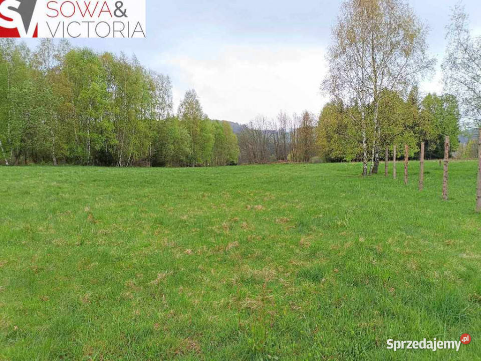 Sielankowa działka z lasem cisza i spokój budowlana Bartnica