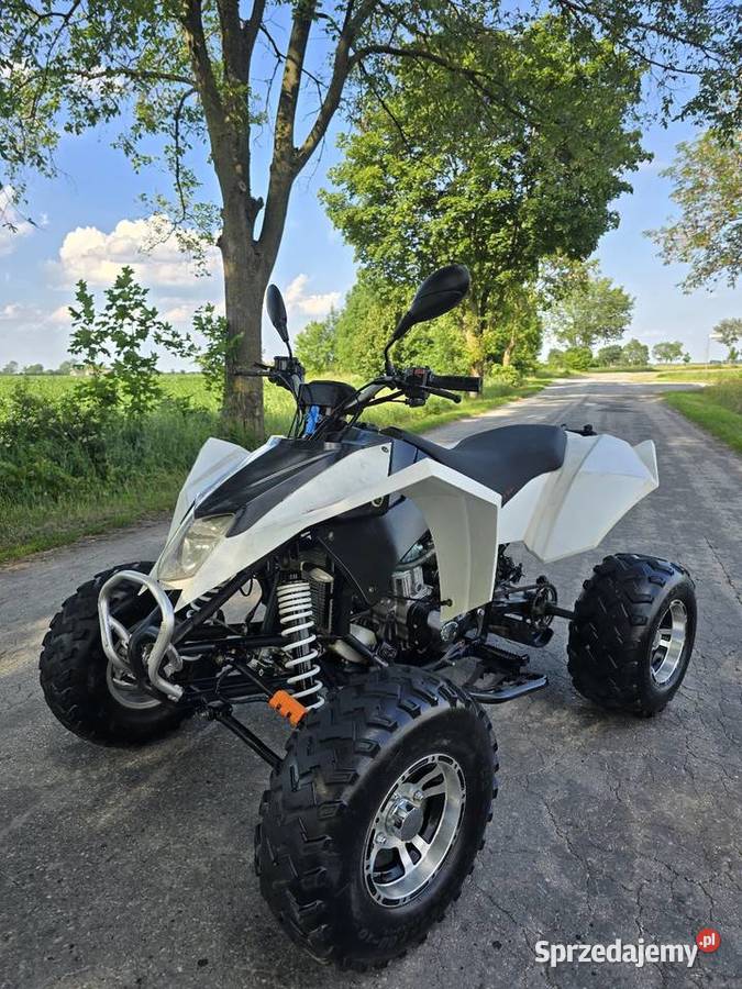 Quad Shineray Egl Bashan 250cc Ciecz Duża rama kujawsko-pomorskie Kruszwica sprzedam