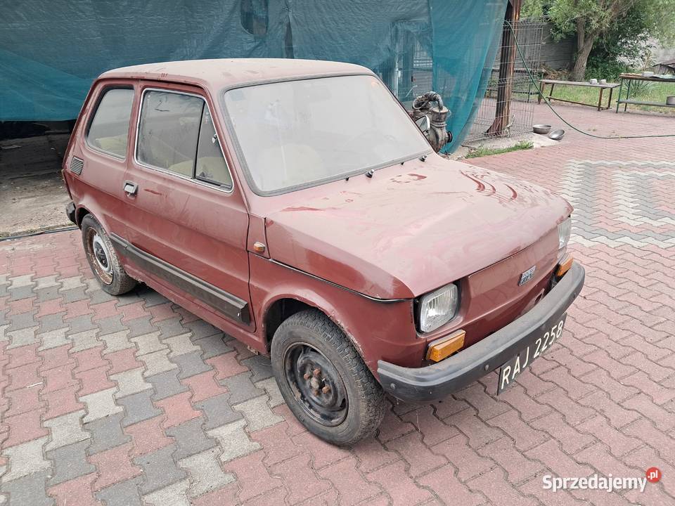 Fiat 126p Opinia Rzeczoznawcy Cedzyna