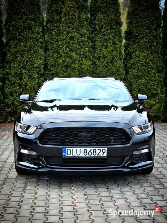 Ford Mustang 37 BenzynaLPG Automat Zamiana Quad sprzedam