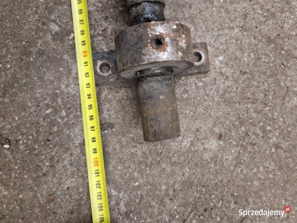 Rożen kij szaszłyk szpikulec grill sztyca Świnoujście