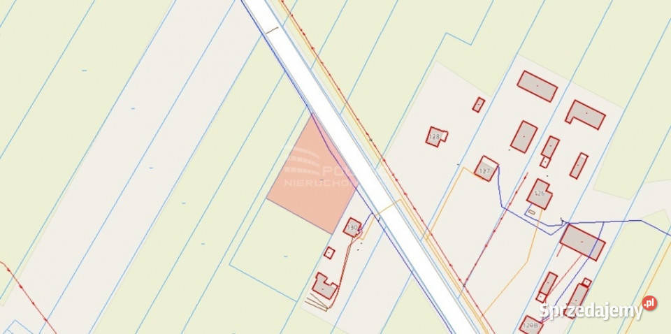 Działka 2000m z wz w Brzostówcu k Radzynia Podl Sprzedaż