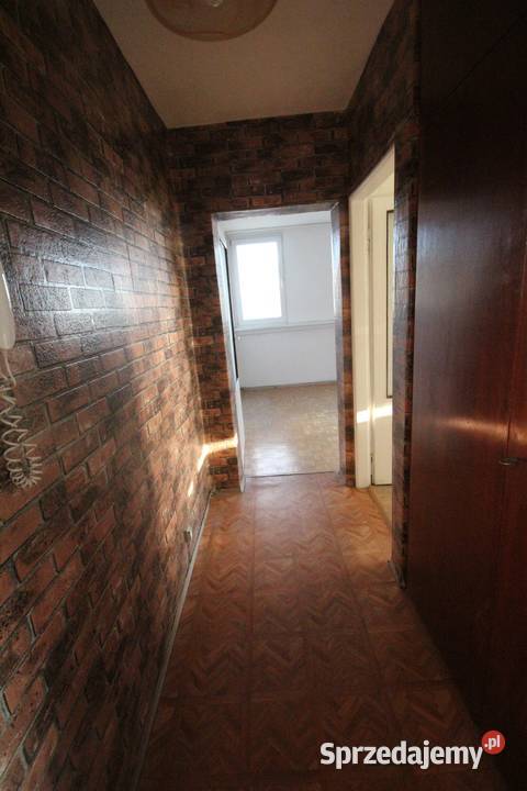 2pok 38met Zaułku Browarnego PIWNICAWINDA sprzedam