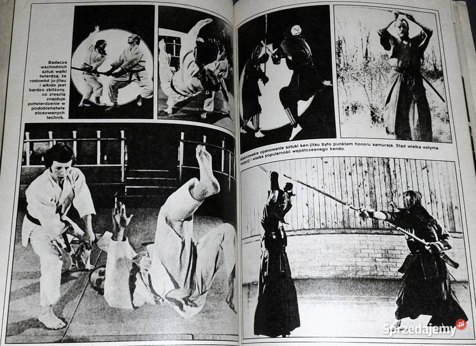 Tajemnice Kung Fu Marian Butrym Wisława Orlińska lubelskie sprzedam