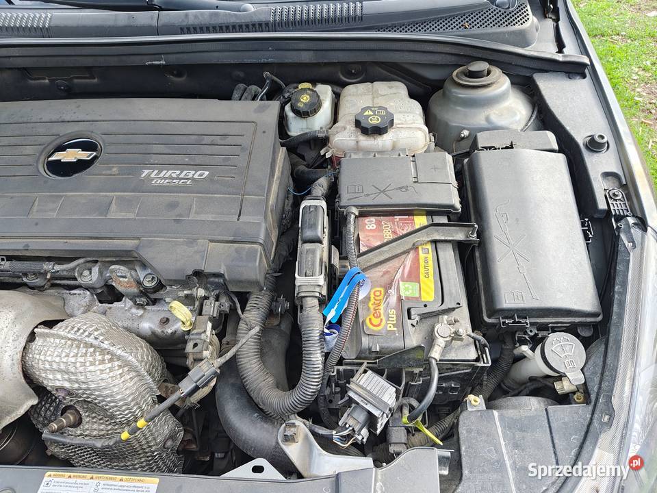sprzedam zadbanego chevroleta 2cm3 Cruze Maków Mazowiecki sprzedam