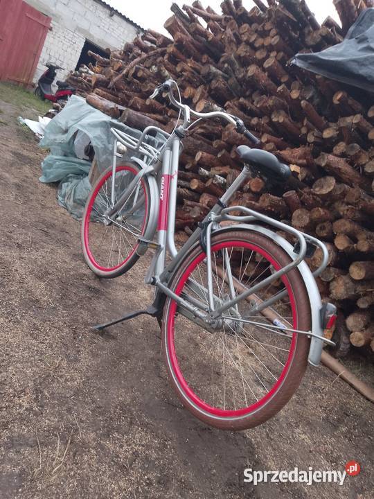 Sprzedam damkę Giant Szlachta sprzedam
