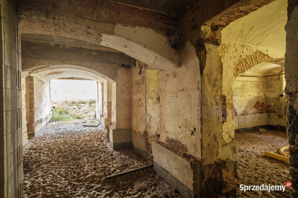 Zabytkowy pałac z parkiem Wilków woj Opolskie 730m2