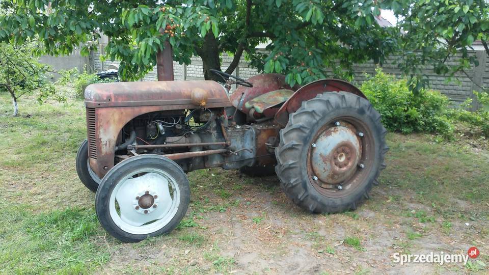 Massey Ferguson tea 20 Ostrów Wielkopolski