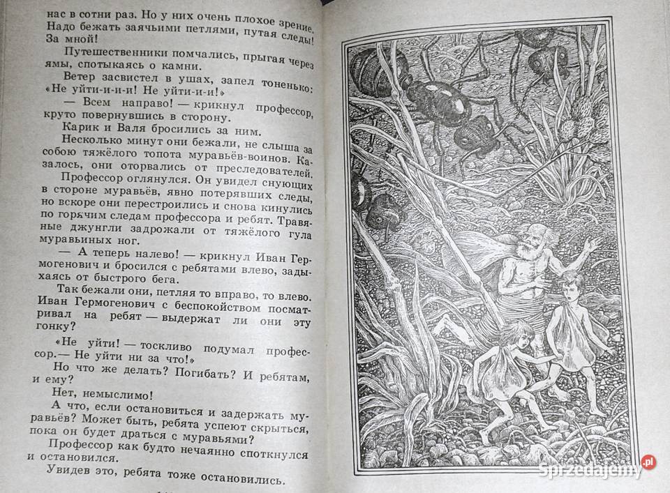 Niezwykłe przygody Karika i Valiego Jan Larri Chełm sprzedam