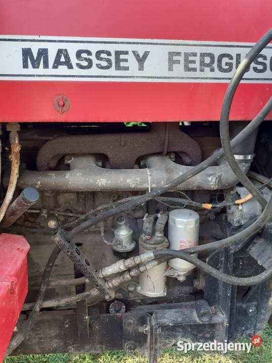 Ciągnik Massey Ferguson 699 Wola Gałęzowska-Kolonia