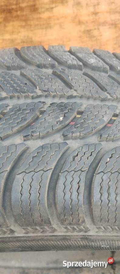 Koła zimowe wielkopolskie Poznań