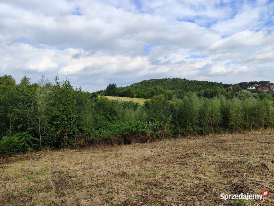 Działka 53a MPZP Kraków Podgórze Swoszowice sprzedam