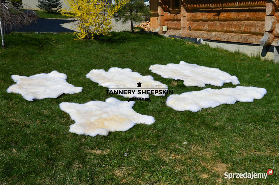 Skóry Owcze Zszywane Dywany Dywaniki Naturalna Szaflary