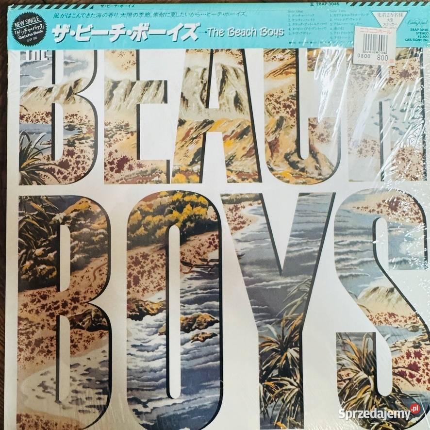 The Beach Boys The Beach Boys LP CRB26378 VG The Płyty i kasety