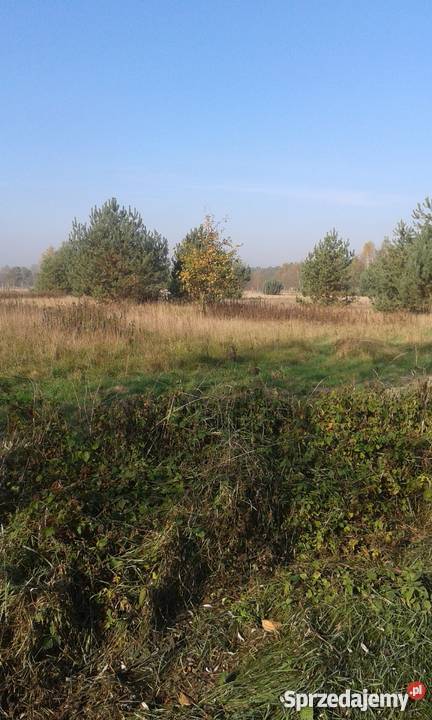 spokojne miejsce Arciechówek