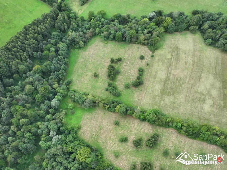 Działka 7746m2 Łobozew Górny Sprzedaż sprzedam