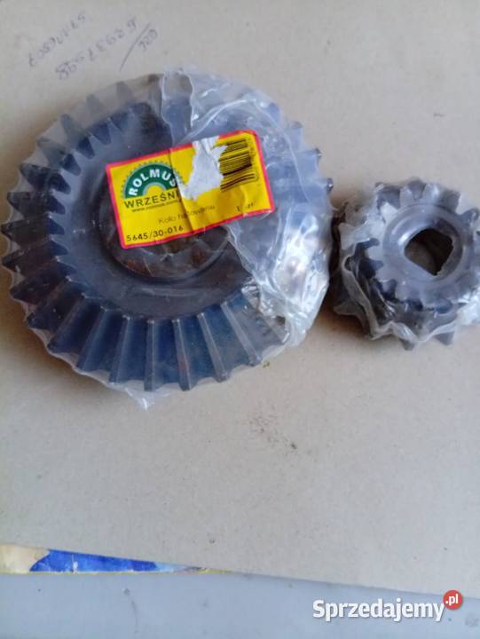 Komplet kół przekładni Anna Płock