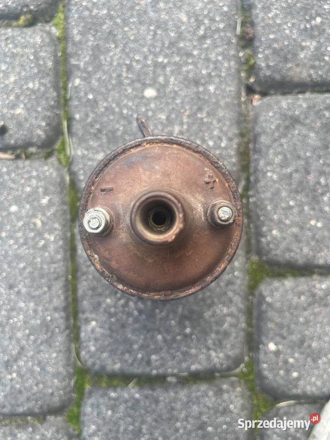 Cewka m72 Toruń sprzedam