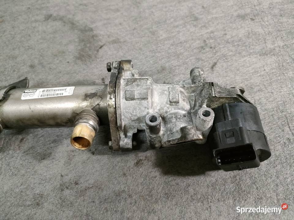 Citroen Peugeot Fiat chłodnica spalin zawór egr Swarzędz sprzedam