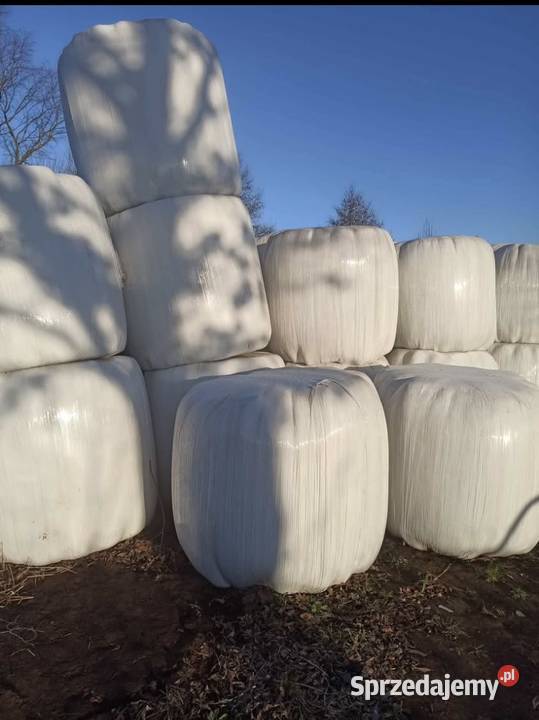 Sprzedam bele sianokiszonka mazowieckie Zaręby Kościelne