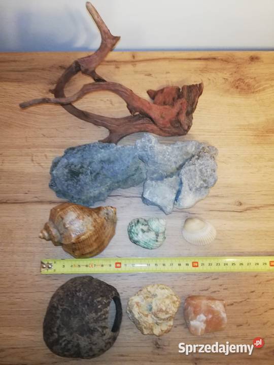 Dekoracje naturalne do akwarium Tanio Warszawa