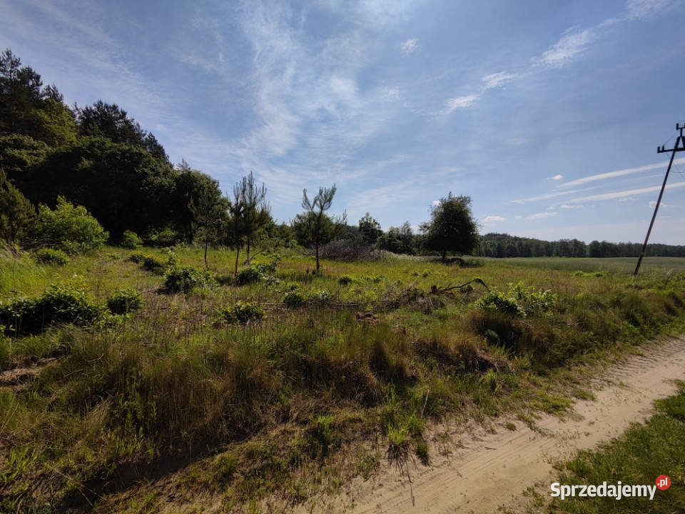 Działka 1094m2 w odl 600 m jez Żalskiego Dużego Ruda sprzedam