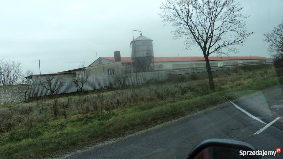 Sprzedam fermę Szlichtyngowa