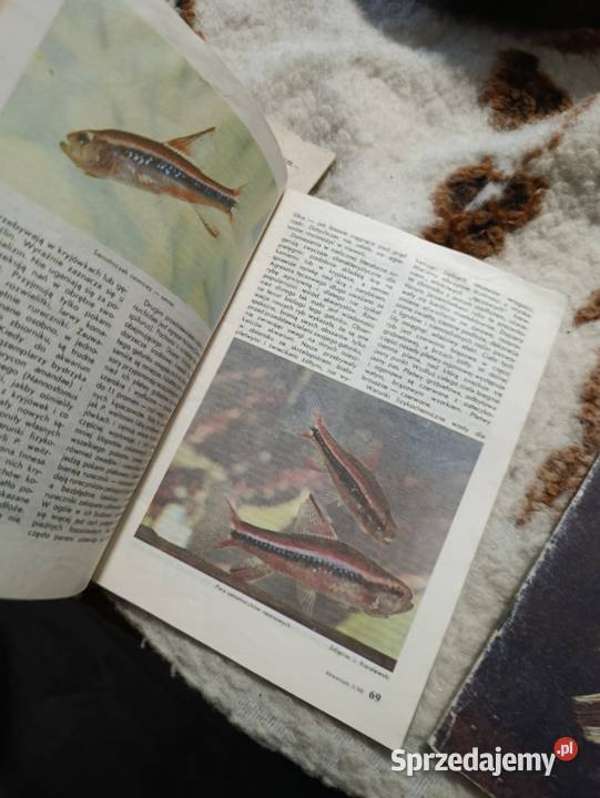 dwumiesięcznik polskiego związku akwarystów wielkopolskie