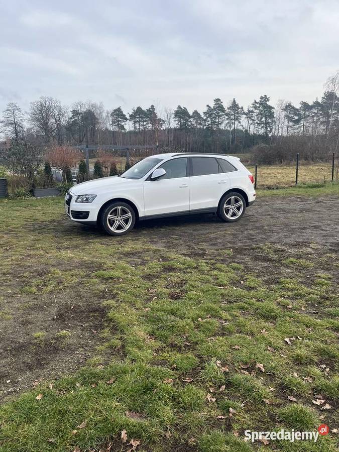 Audi Q5 30 quatro czujnik parkowania lubuskie Żary