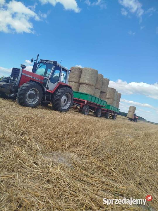 Massey Ferguson 698 Radzyń Podlaski