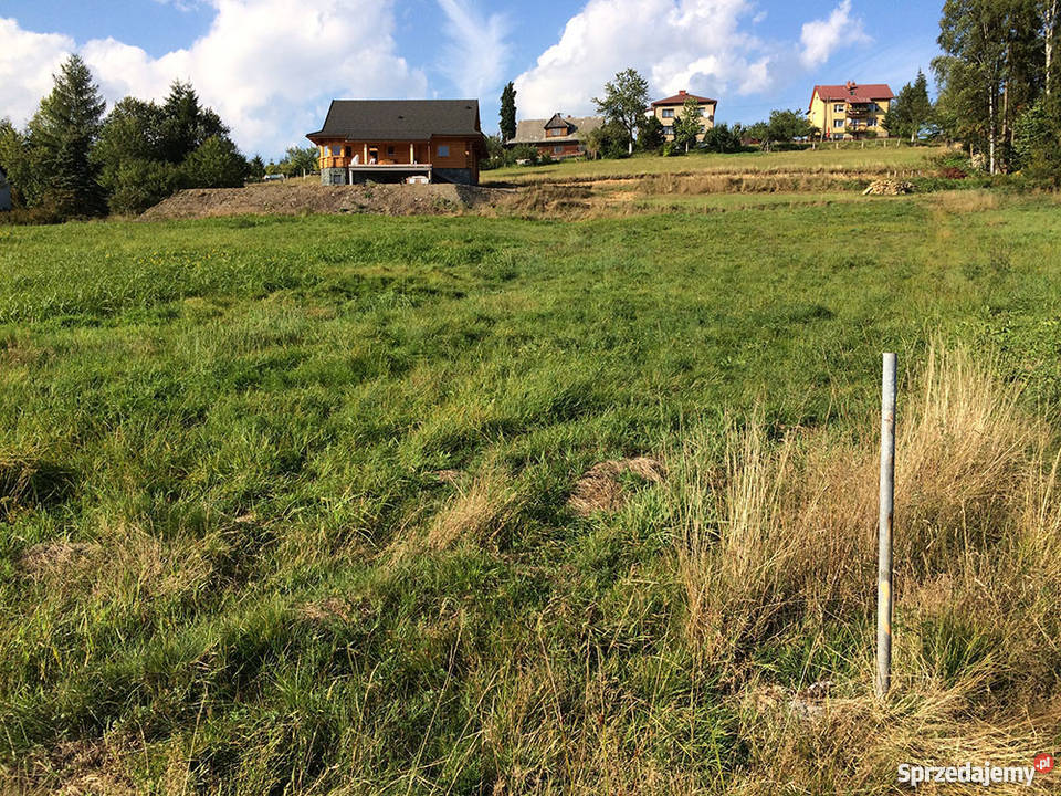 Działka budowlana w górach w Istebnej 7300m2 7300m2 Istebna sprzedam