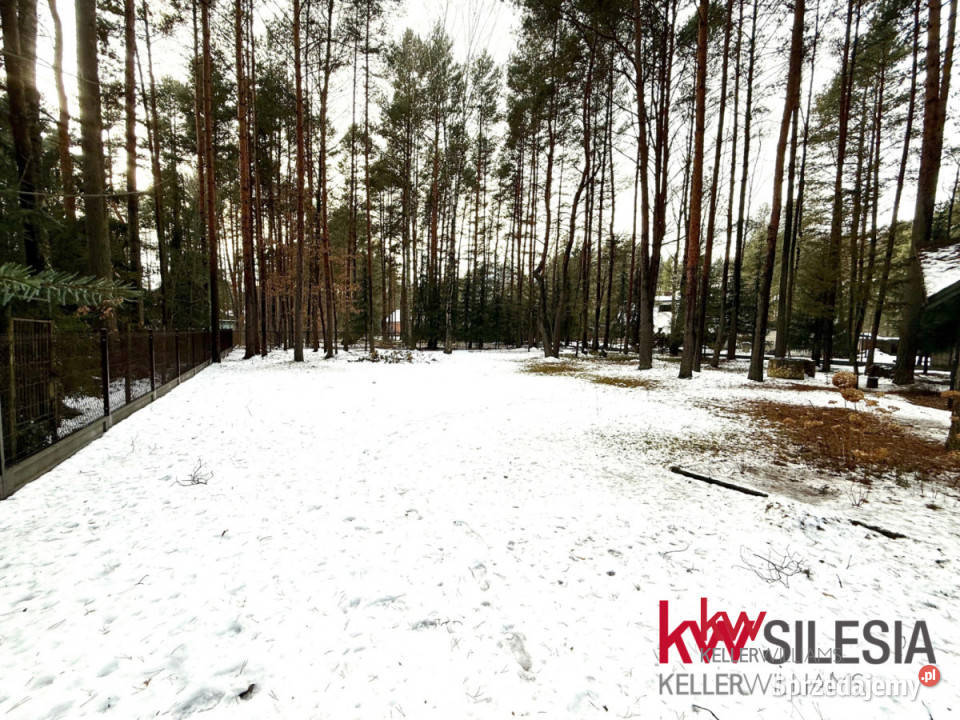 Grunt Masłońskie 3866m2 śląskie