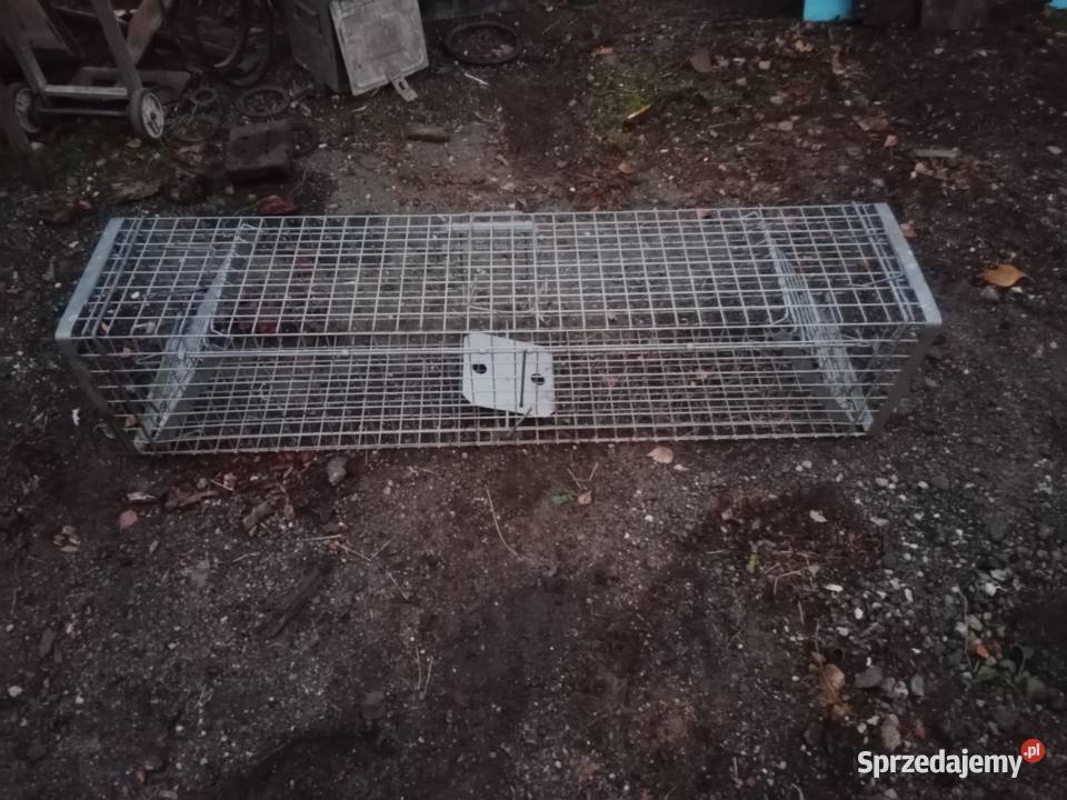 PUŁAPKA NA LISYKUNY WYDRY BOBRY BORSUKI SZOPY Poddębice sprzedam