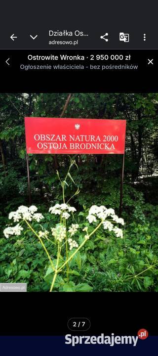 JEZIORO i jego brzeg Działka15 ha z warmińsko-mazurskie Osetno