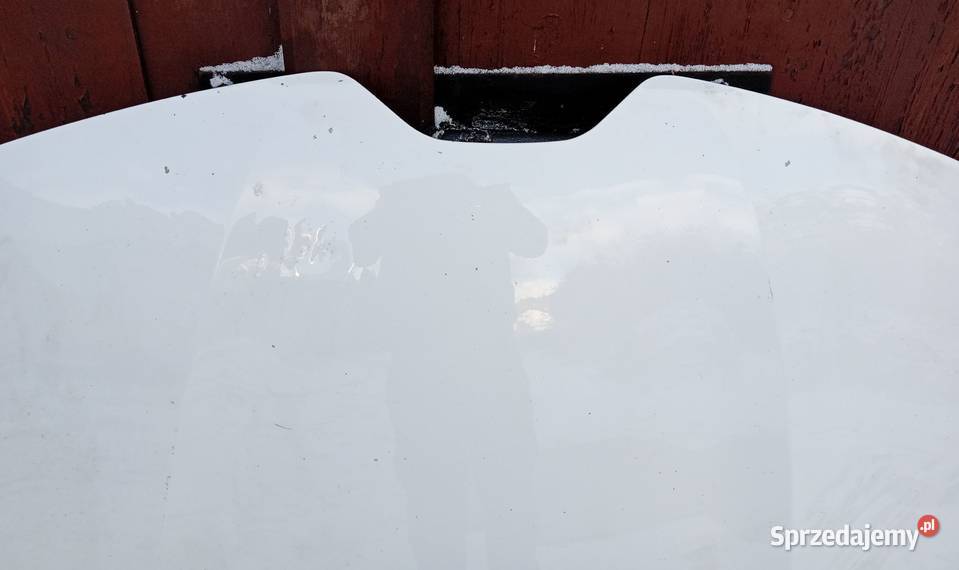 Renault Arkana maska pokrywa silnika Motoryzacja wielkopolskie Przeźmierowo sprzedam