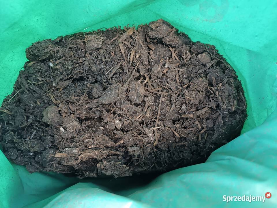 Obornik bydlęcy przekompostowany mielony sprzedam