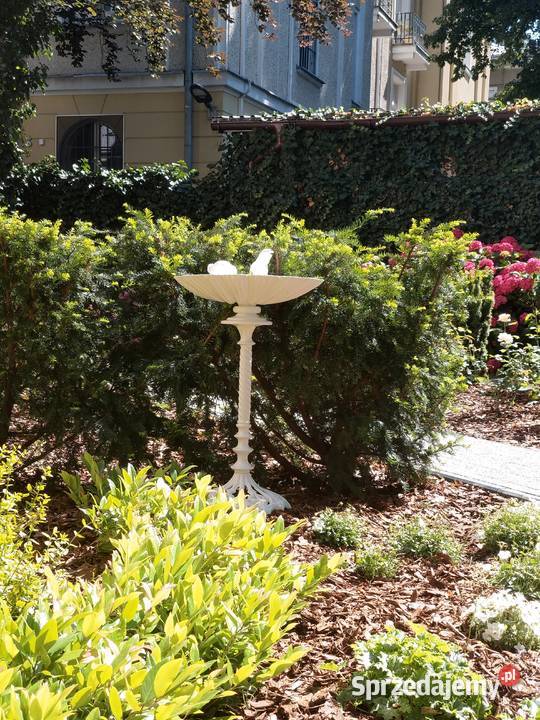 PIĘKNE POIDEŁKOKARMNIK OGRODOWY warmińsko-mazurskie Gołdap