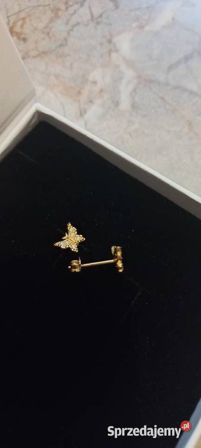 Kolczyki Motylki mazowieckie Małocice