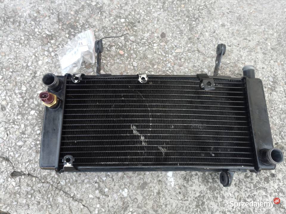 Chłodnica Suzuki SV 1000 Grójec sprzedam