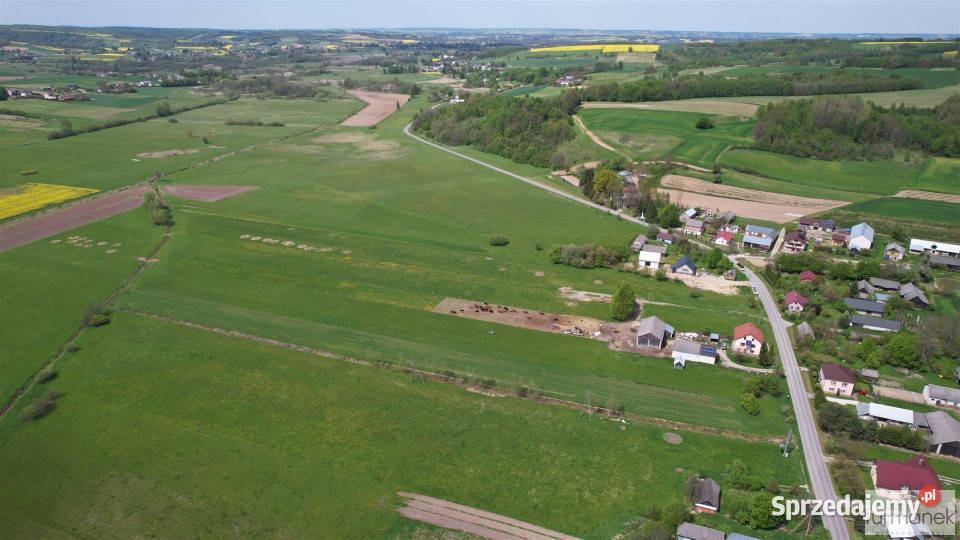 Grunt na sprzedaż 7447m2 Dzielce 9zł/m2