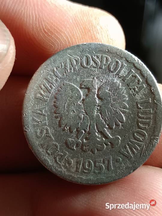 Sprzedam monete 1 zloty 1957 Numizmatyka Chełm