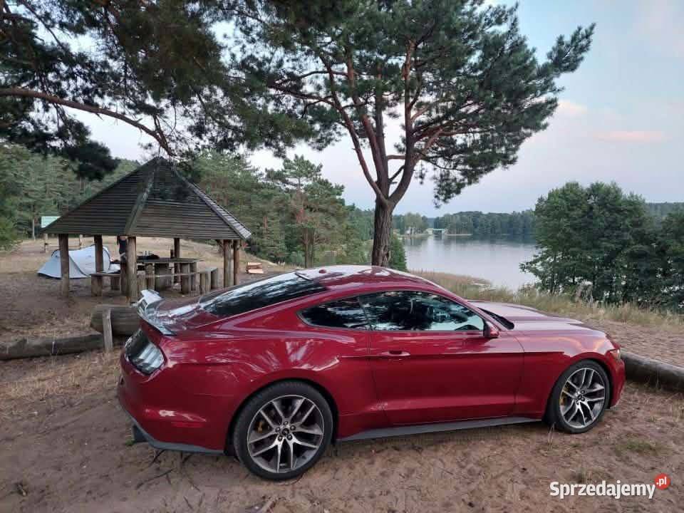 Ford Mustang Premium Mustang